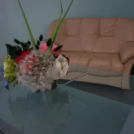 Apartment Luxury Chocolate Riga