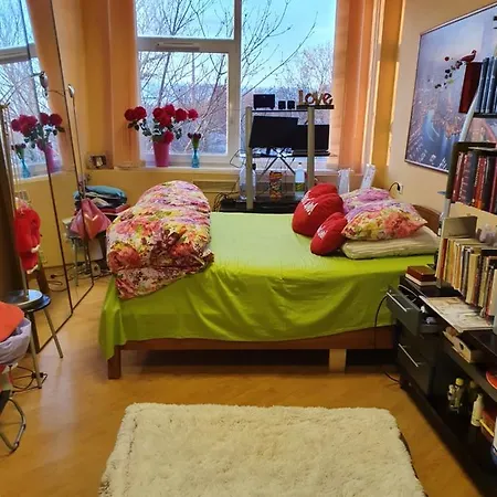 Luxury Chocolate Apartment Riga